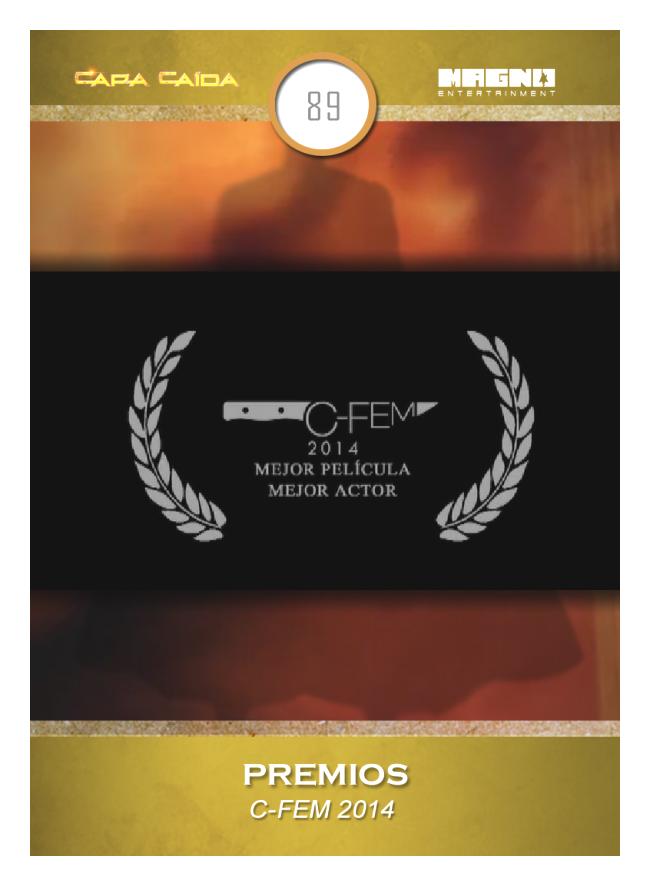 C-FEM 2014