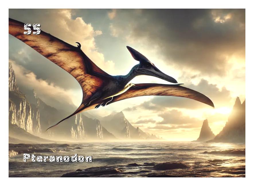 Pteranodon Pteranodon