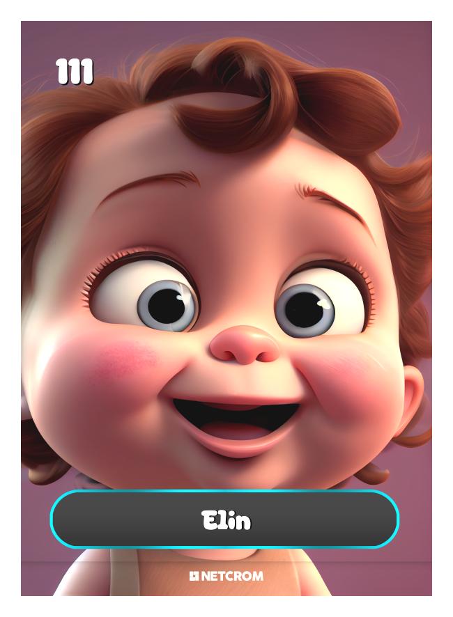 Elin Elin