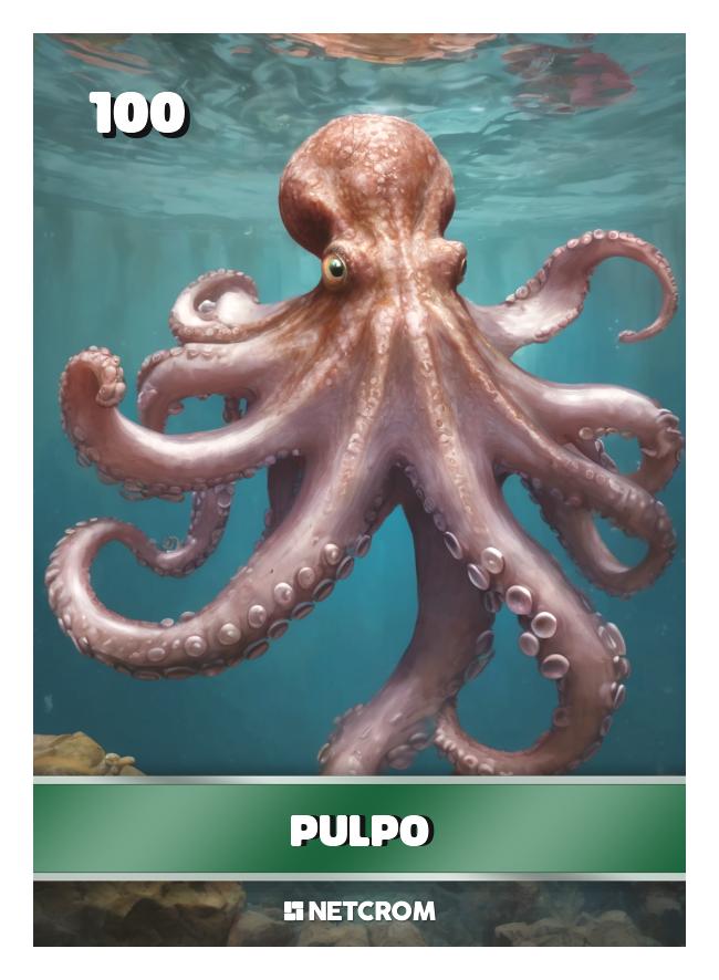 Pulpo