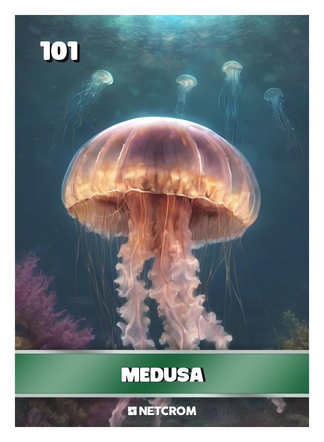 Medusa Medusa