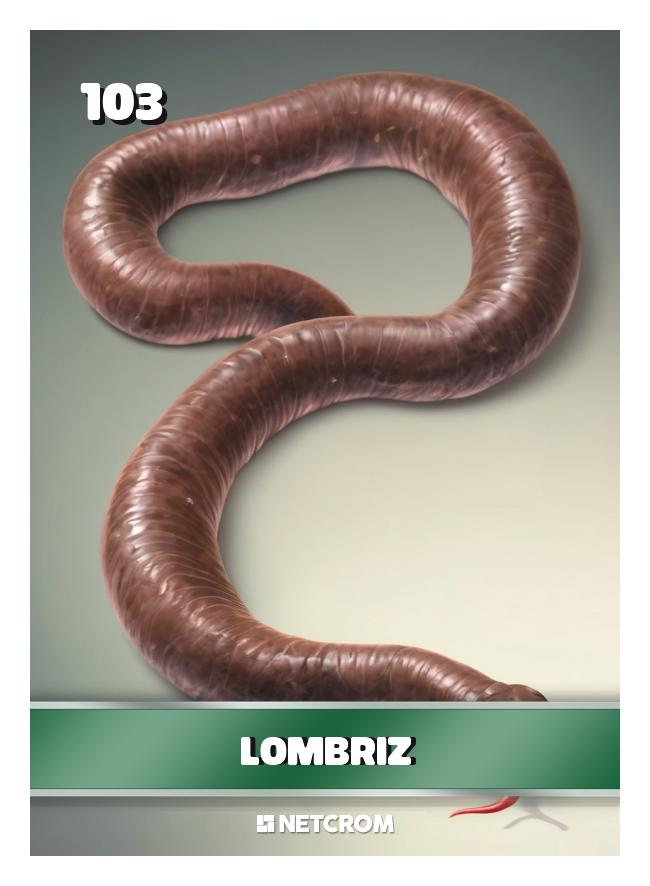 Lombriz Lombriz