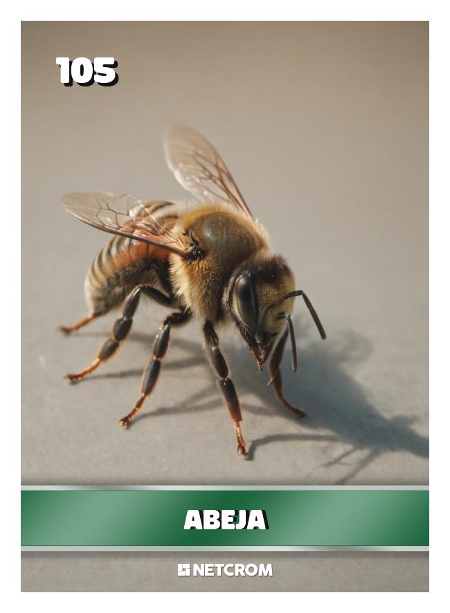 Abeja Abeja