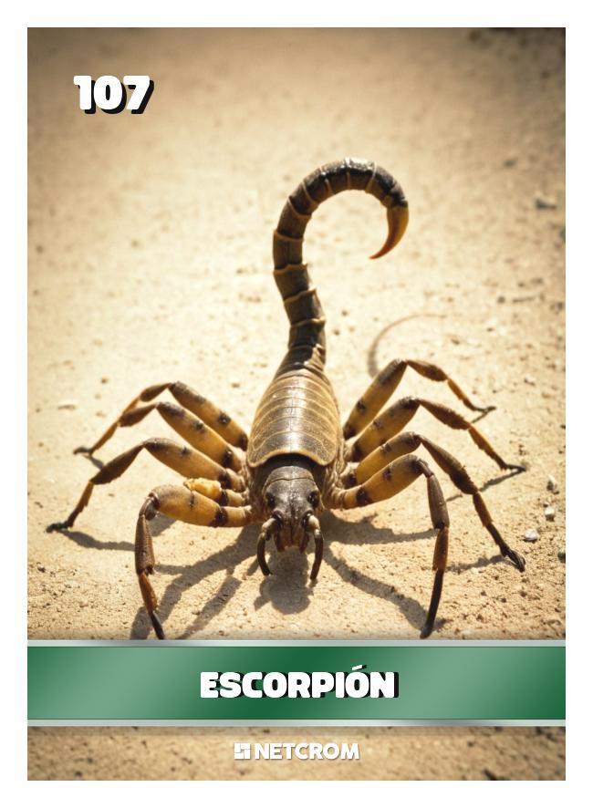 Escorpión Escorpión