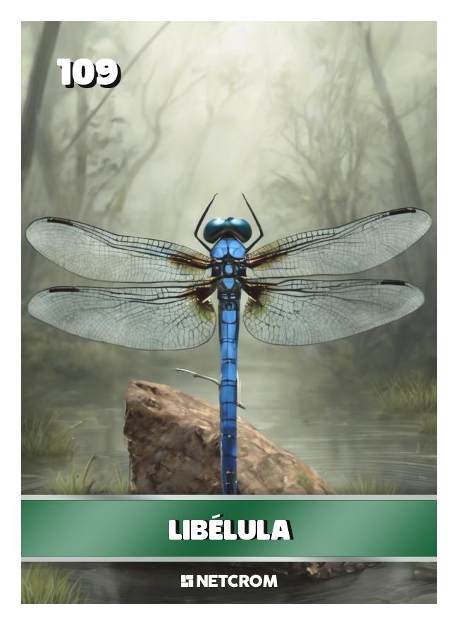 Libélula Libélula
