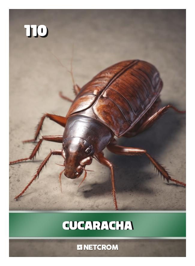 Cucaracha Cucaracha