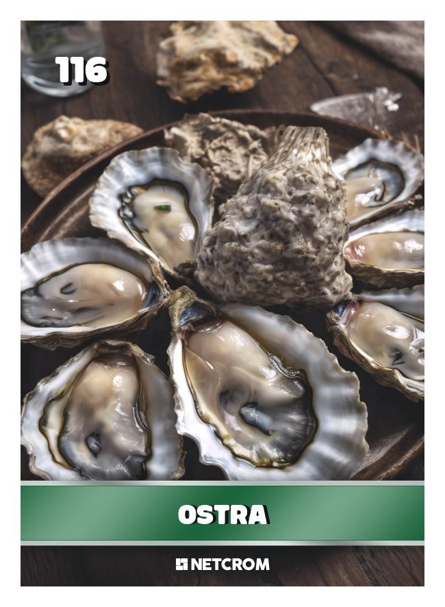 Ostra Ostra