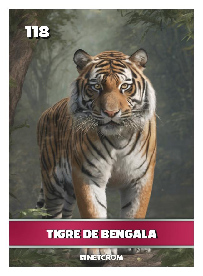 Tigre de Bengala Tigre de Bengala