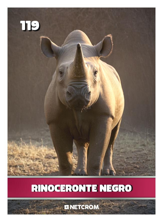 Rinoceronte Negro