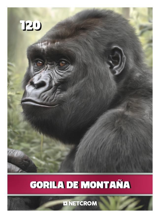 Gorila de Montaña