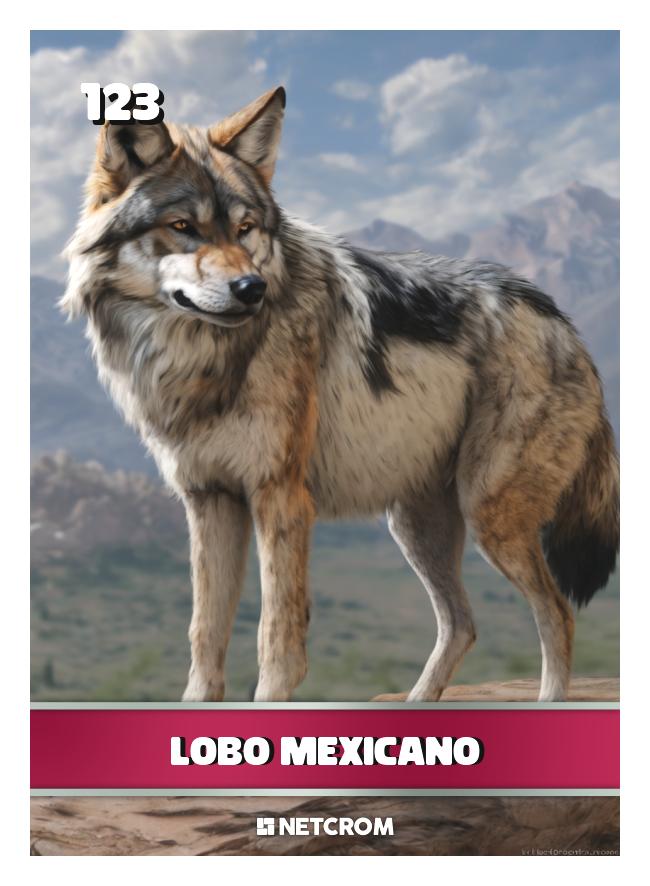 Lobo Mexicano Lobo Mexicano