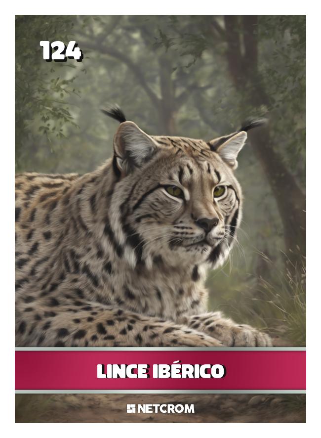Lince Ibérico Lince Ibérico