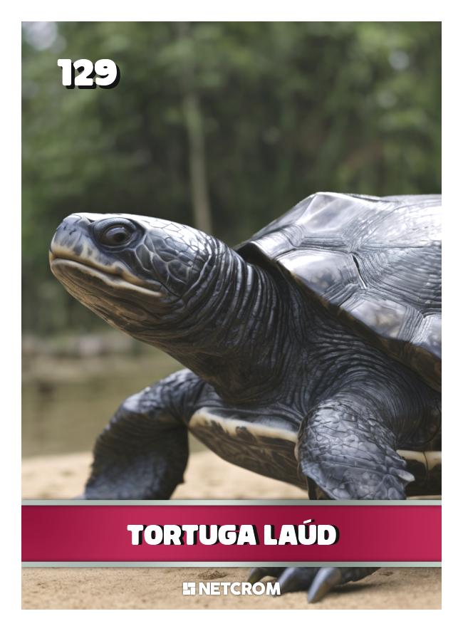 Tortuga Laúd Tortuga Laúd