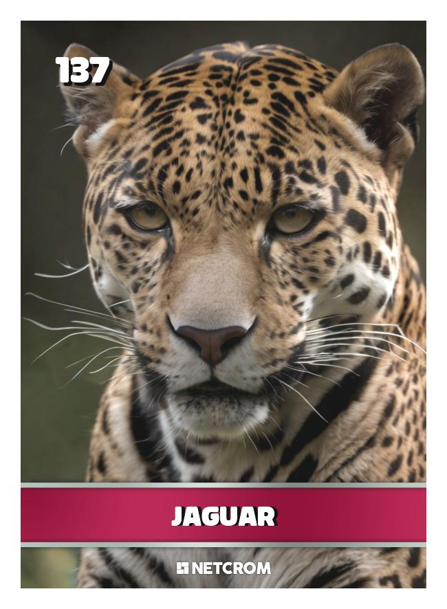 Jaguar