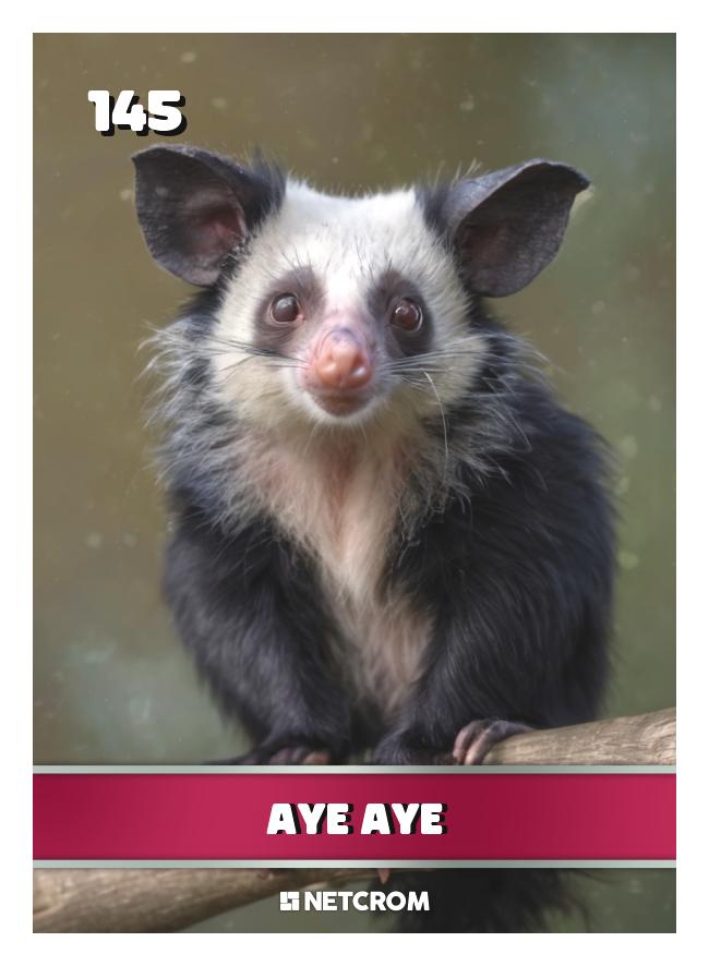 Aye aye Aye aye