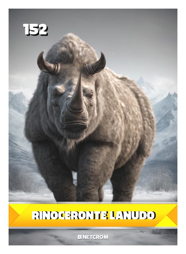 Rinoceronte lanudo Rinoceronte lanudo