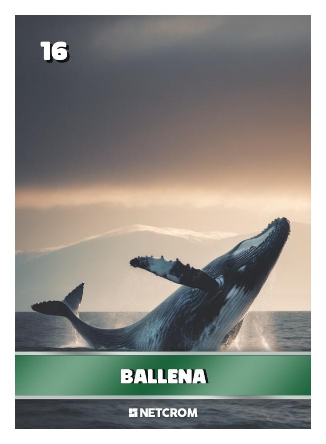 Ballena