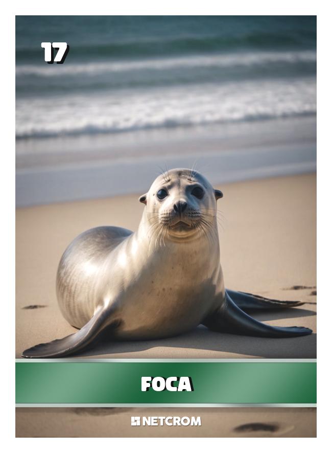 Foca