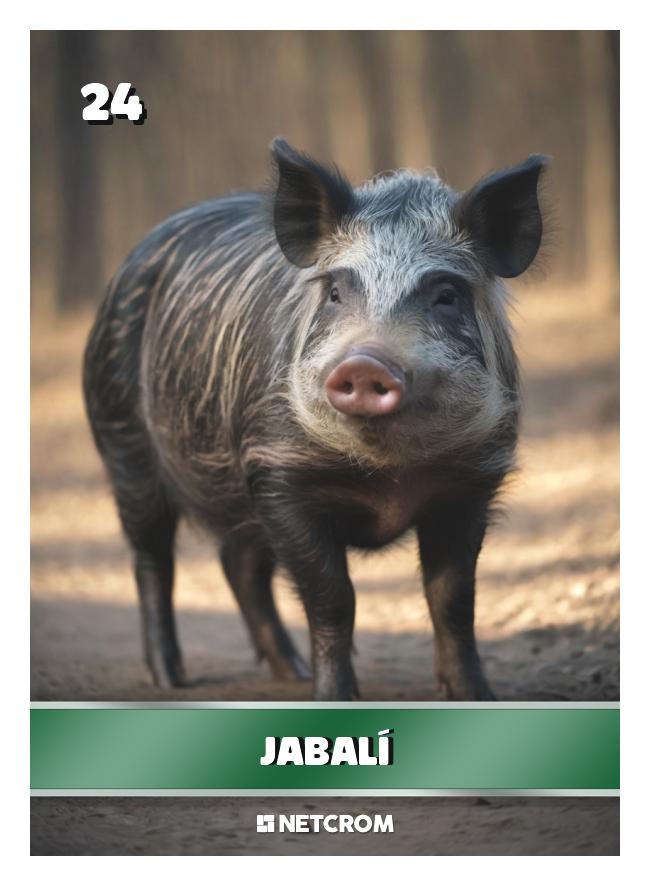 Jabalí