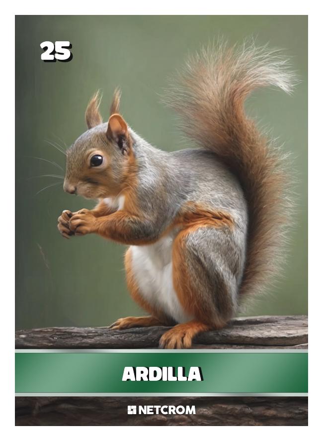 Ardilla