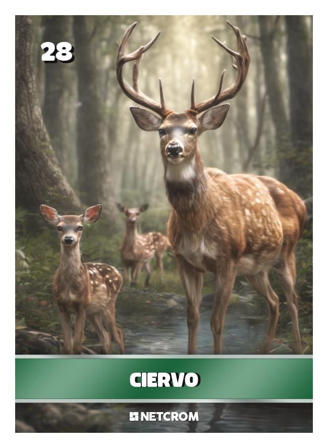 Ciervo