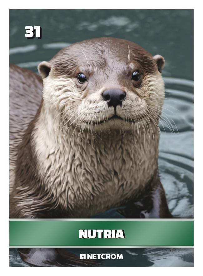 Nutria
