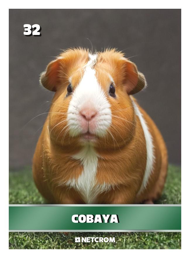 Cobaya Cobaya