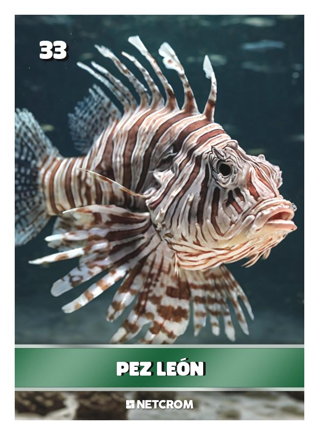 Pez león
