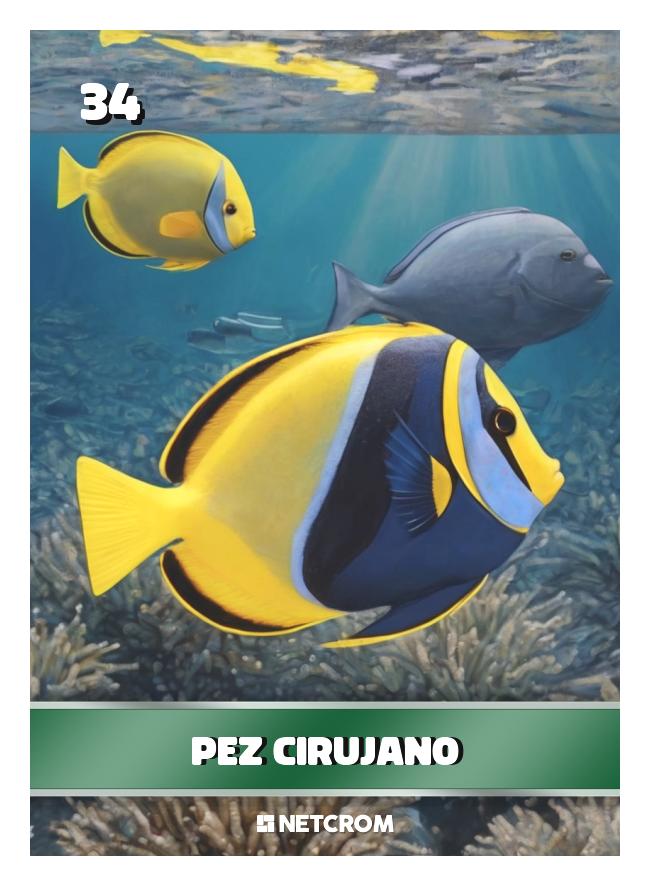 Pez cirujano
