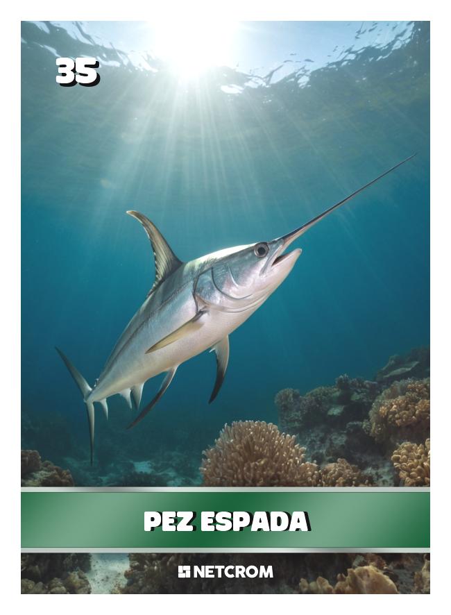 Pez espada
