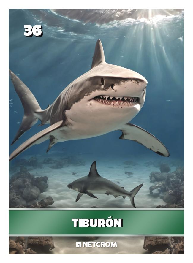 Tiburón