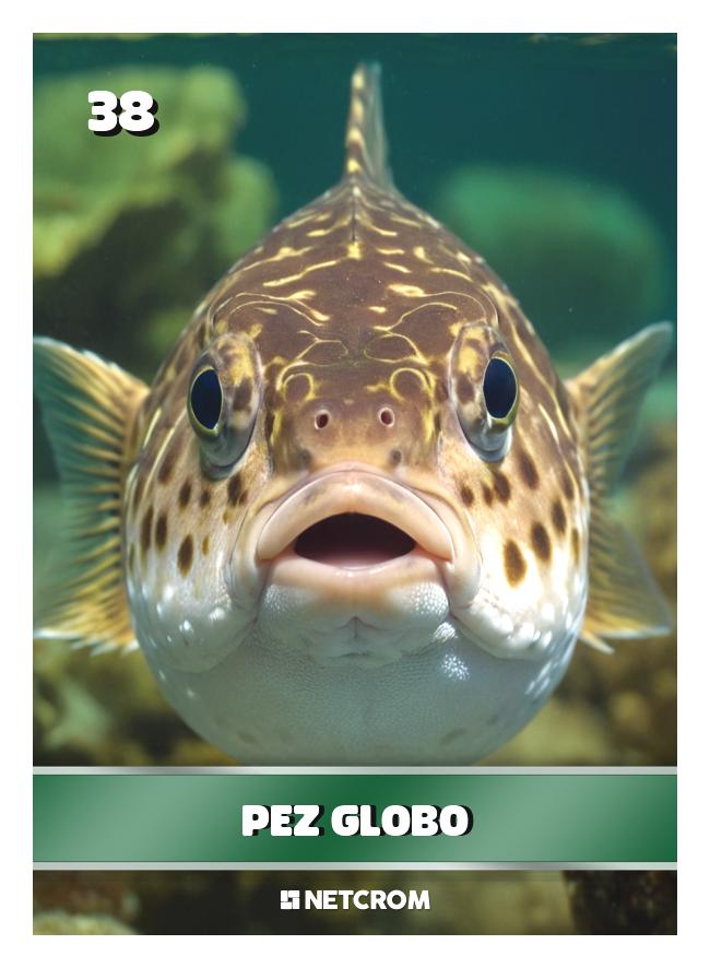 Pez globo