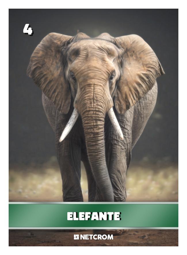 Elefante