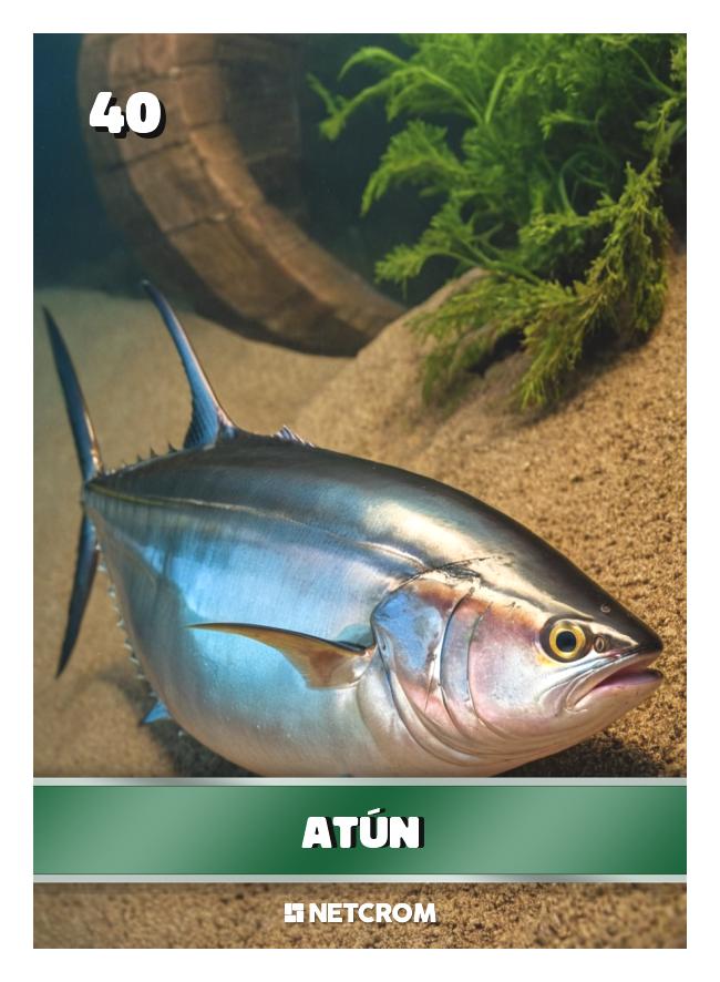 Atún