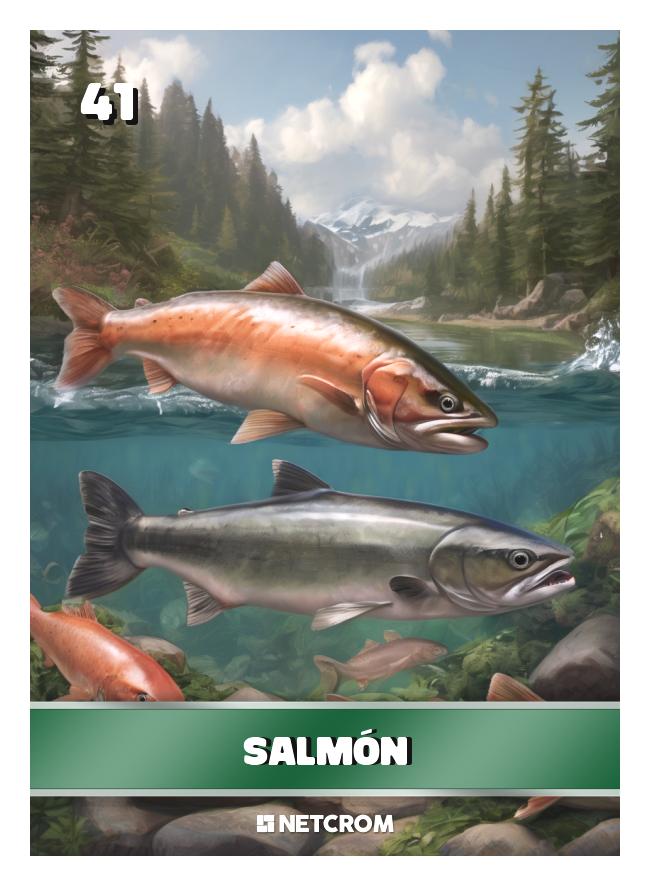 Salmón