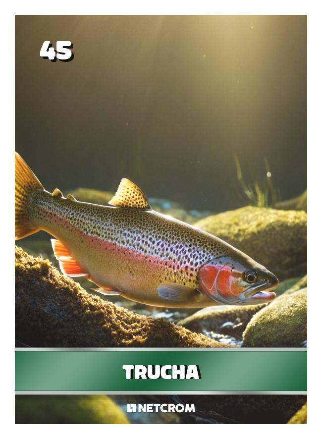Trucha