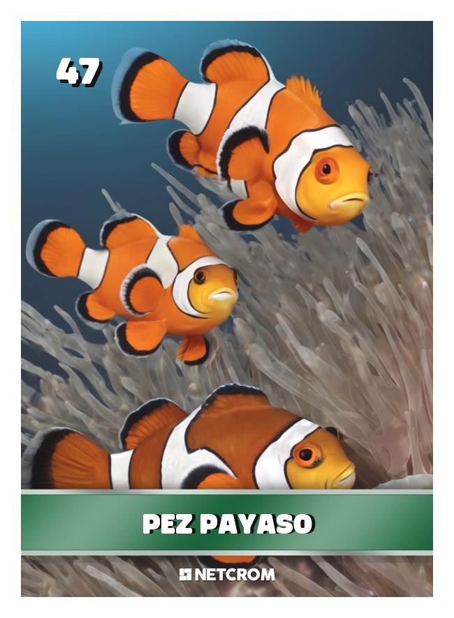 Pez payaso
