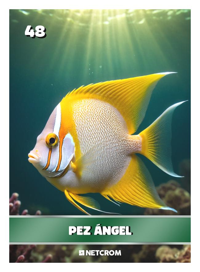 Pez ángel