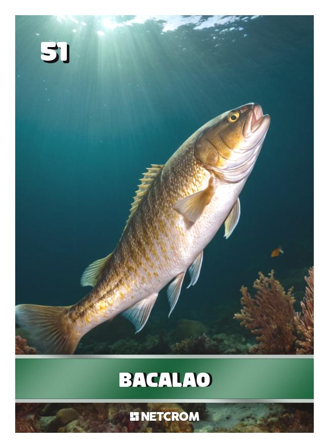 Bacalao