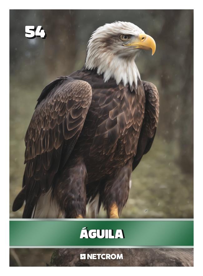 Águila