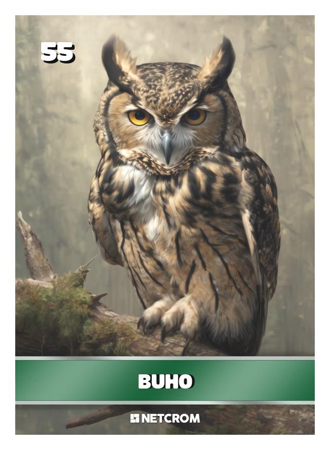 Buho