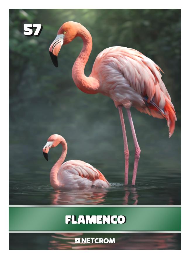 Flamenco