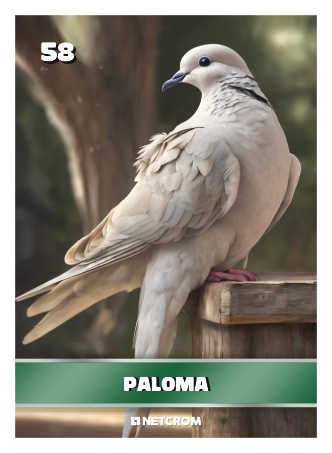 Paloma