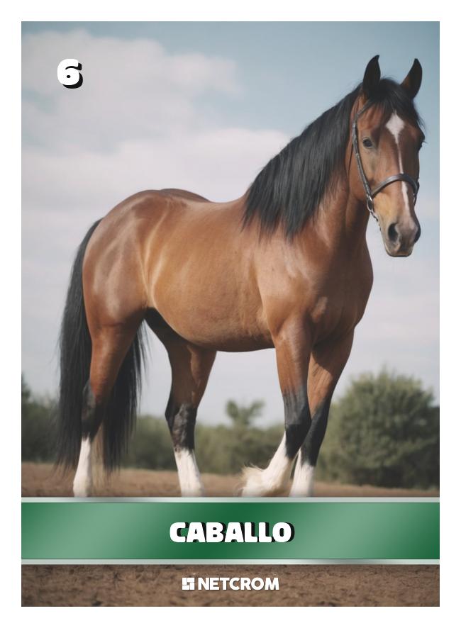 Caballo