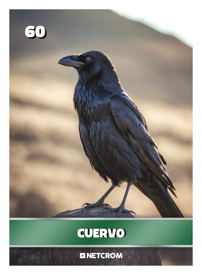 Cuervo