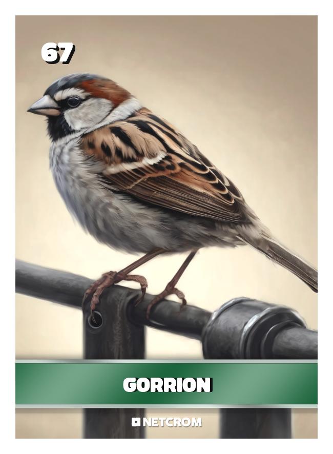 Gorrion