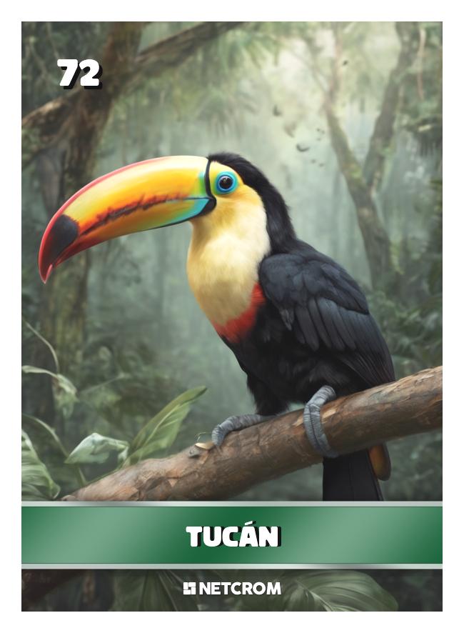 Tucán