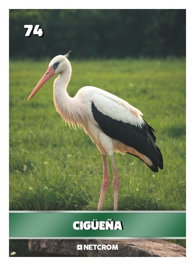 Cigüeña