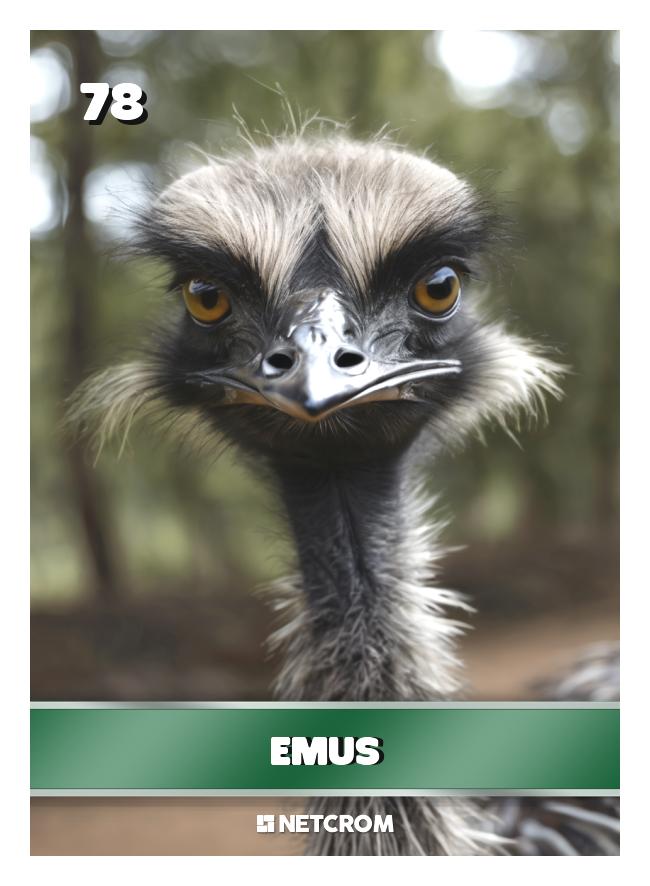 Emus Emus