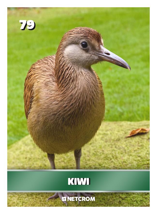 Kiwi Kiwi